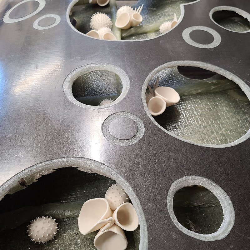 Half Life by Carolyn Autenrieth